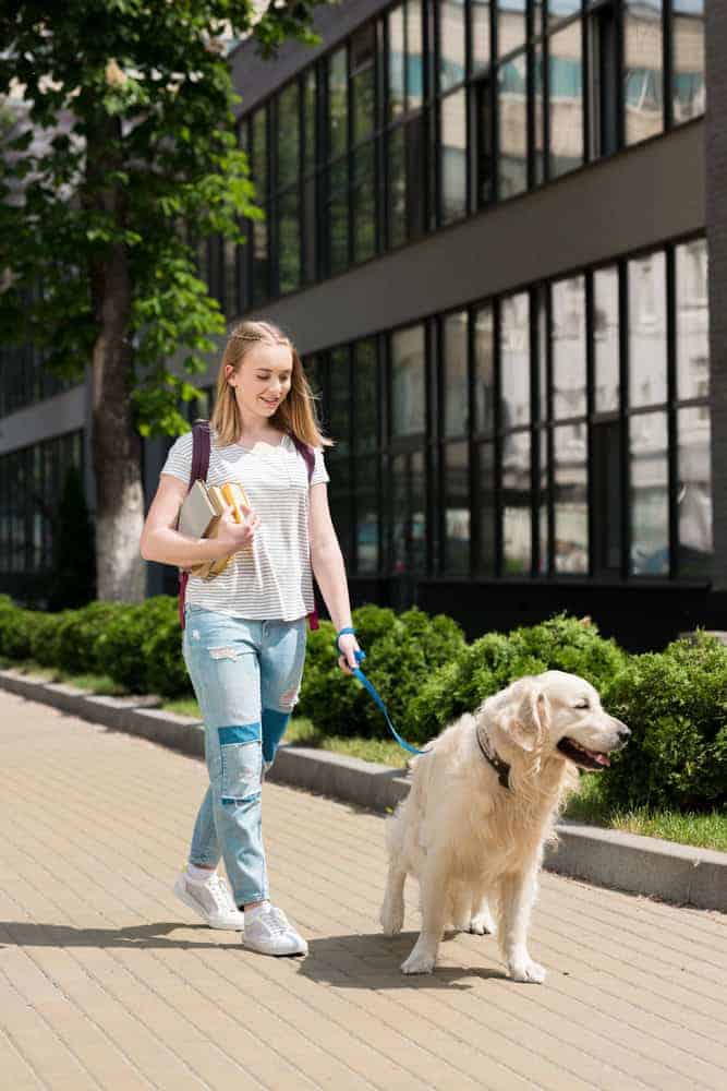 Teen student girl with books walking her dog — how to start a dog walking business as a teenager